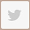 Twitter  Centros Único