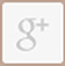Googleplus  Centros Único